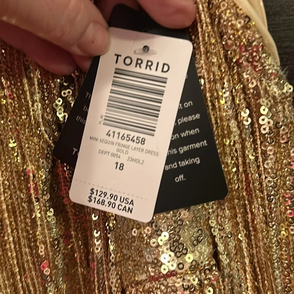 NWT Mimi Sequin Fringe Layer Dress from Torrid - Picture 4 of 5